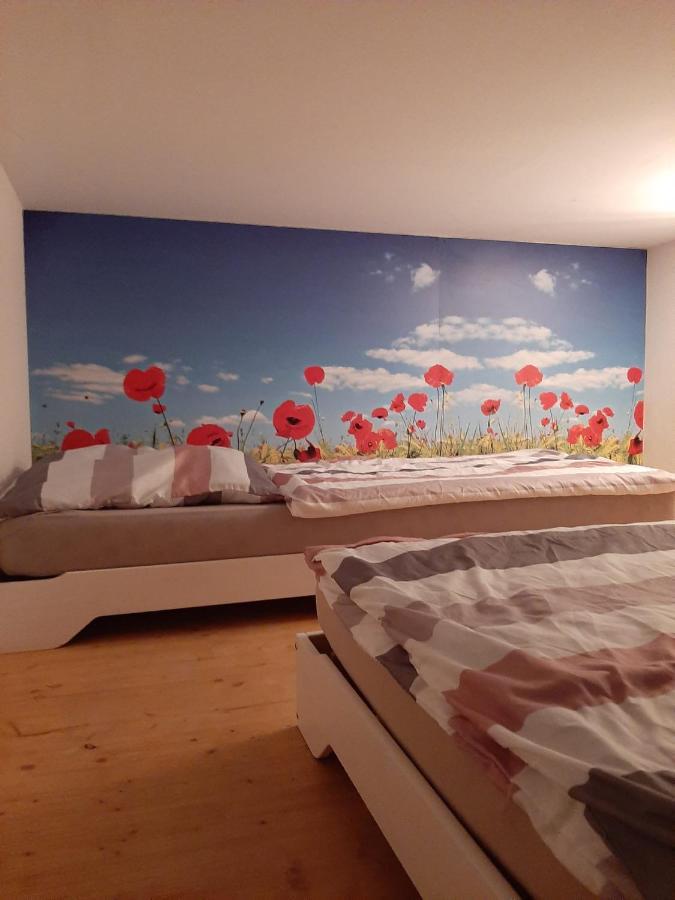 Hostel Airport Oberglatt Εξωτερικό φωτογραφία
