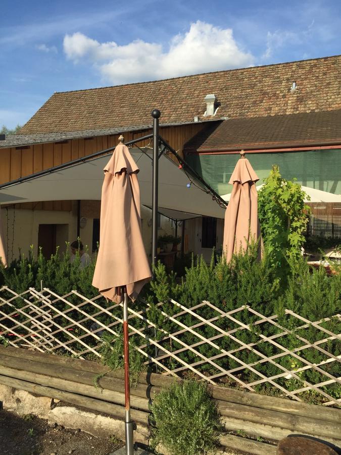 Hostel Airport Oberglatt Εξωτερικό φωτογραφία
